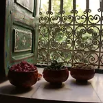 Riad Redous