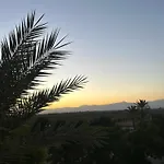 Palm View