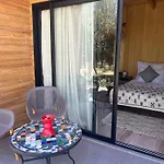 Domain The Blaze