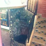 Riad Tarik