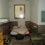 Riad Dar Mchicha