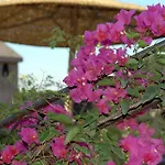 Riad Mehdia