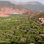 Marrakech Olive Haven