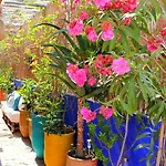 Terrasse Privee, A 2 Pas Du Jardin Majorelle Ysl