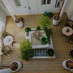 Riad Tawja