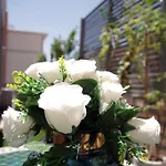 Elegant And Modern Appart Hotel With Best Location