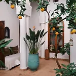 Nosade Venue