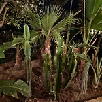 Les Jardins De La Palmeraie 2 Appart