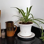 Luxury Apartment In Hivernage Marrakech