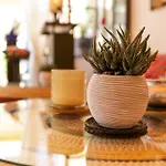 Dar Khmissa Riad & Spa