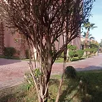 Majorelle 2 Olivier