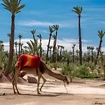 Duplex Raffine Avec Terrasse Verdoyante Et Mur Vegetal - A 300M Du Jardin Majorelle Et Musee Yves Saint Laurent - Netflix Et Iptv
