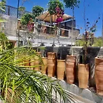 Riad Green Palm