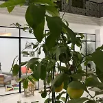 Riad De Luxe Pama