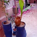 Riad Le Shams