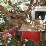 Riad Dar Zitouna En Exclusivite