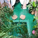 The Bohemian Jungle