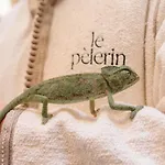 Riad Le Pelerin