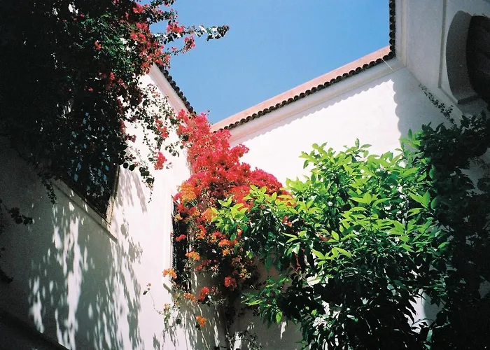 Riad La Porte Bleue, en exclusivité pour 4 personnes