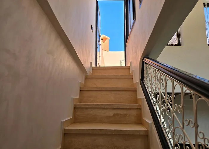 Riad Miralezia