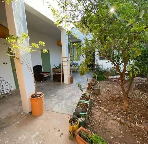 Ali\'S House