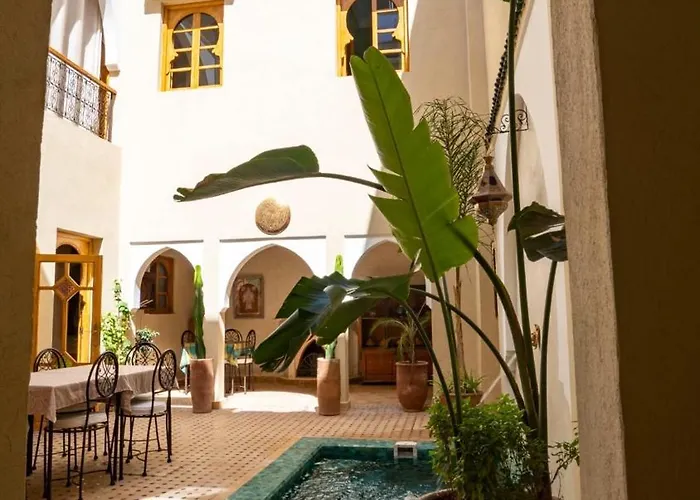 Riad Saadaoui
