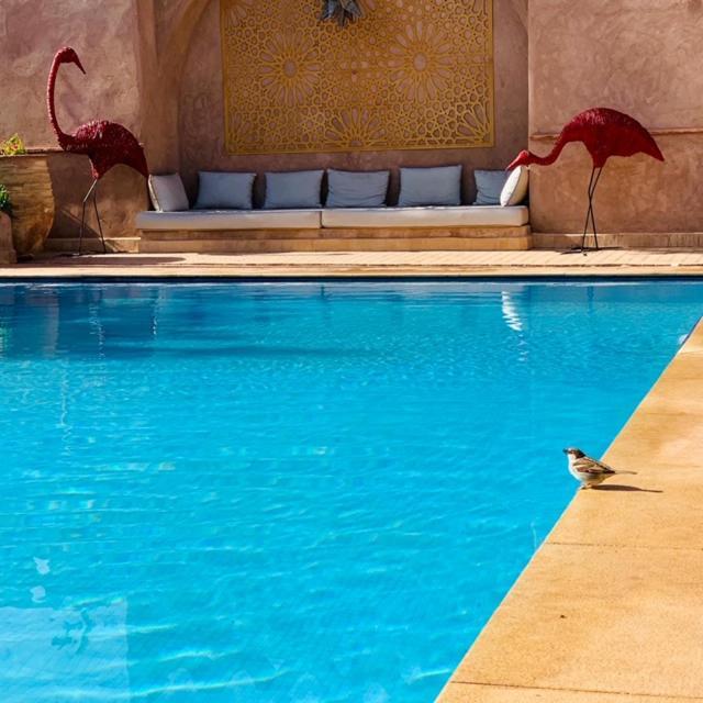 Couette-café 55 Marrakech
