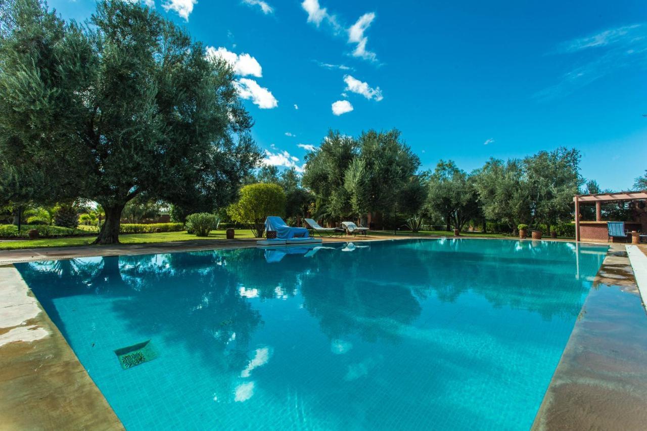 Villa Les Oliviers - A Setting Of Tranquility