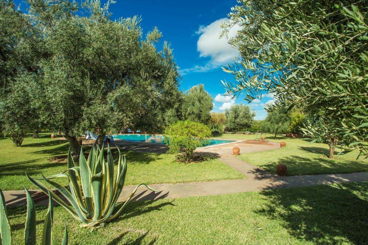 Villa Les Oliviers - A Setting Of Tranquility