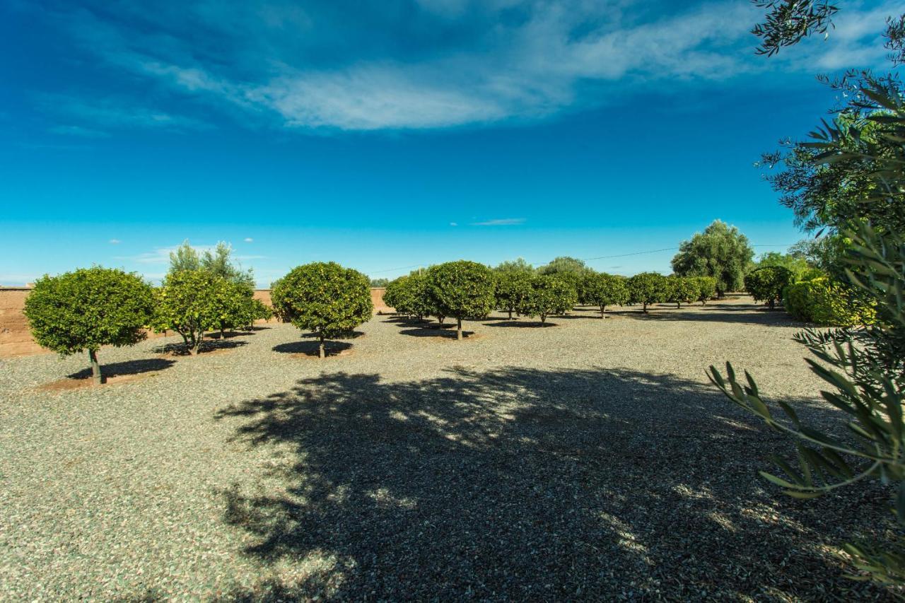 Villa Les Oliviers - A Setting Of Tranquility Marrakesh