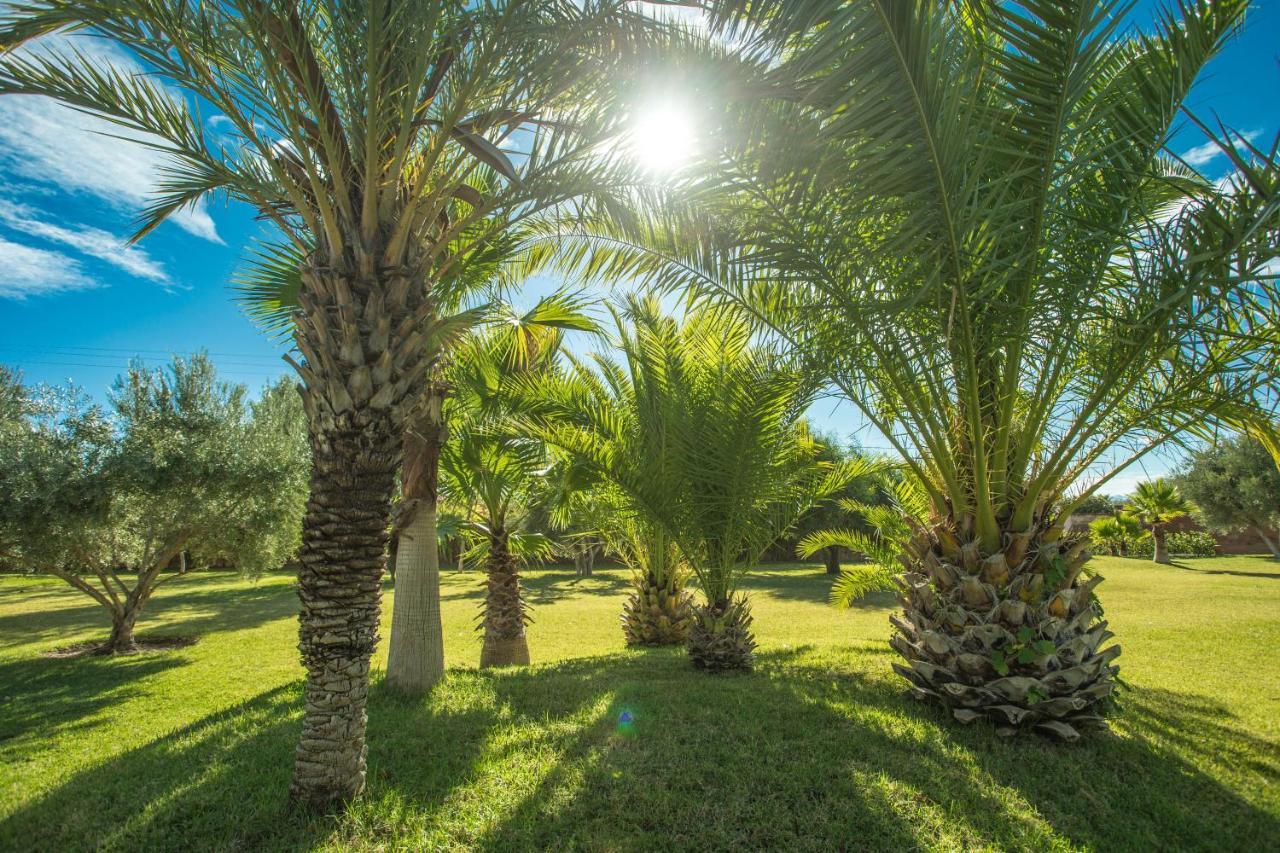 Les Oliviers - A Setting Of Tranquility * Marrakesh