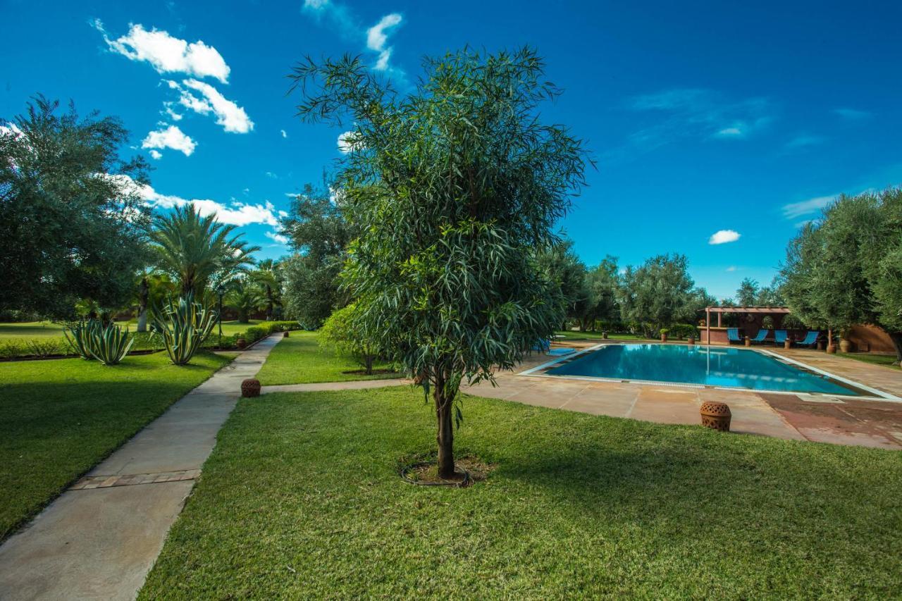Les Oliviers - A Setting Of Tranquility