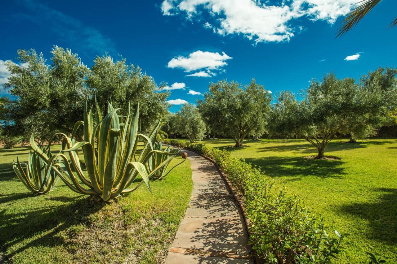 Les Oliviers - A Setting Of Tranquility * Marrakesh