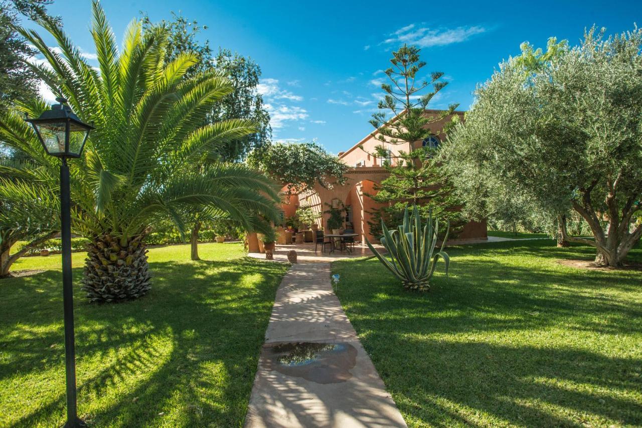 Villa Les Oliviers - A Setting Of Tranquility
