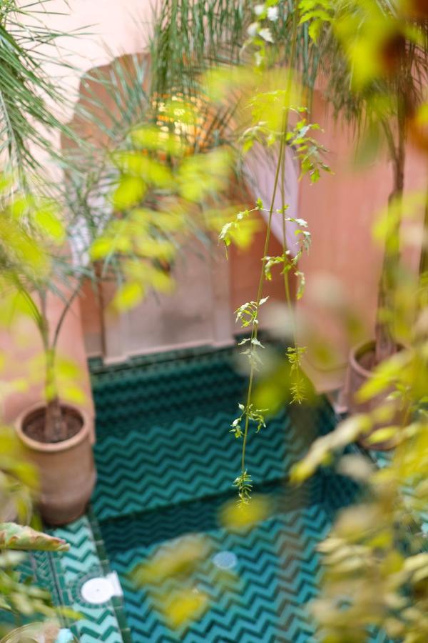 The Bohemian Jungle Marrakesh