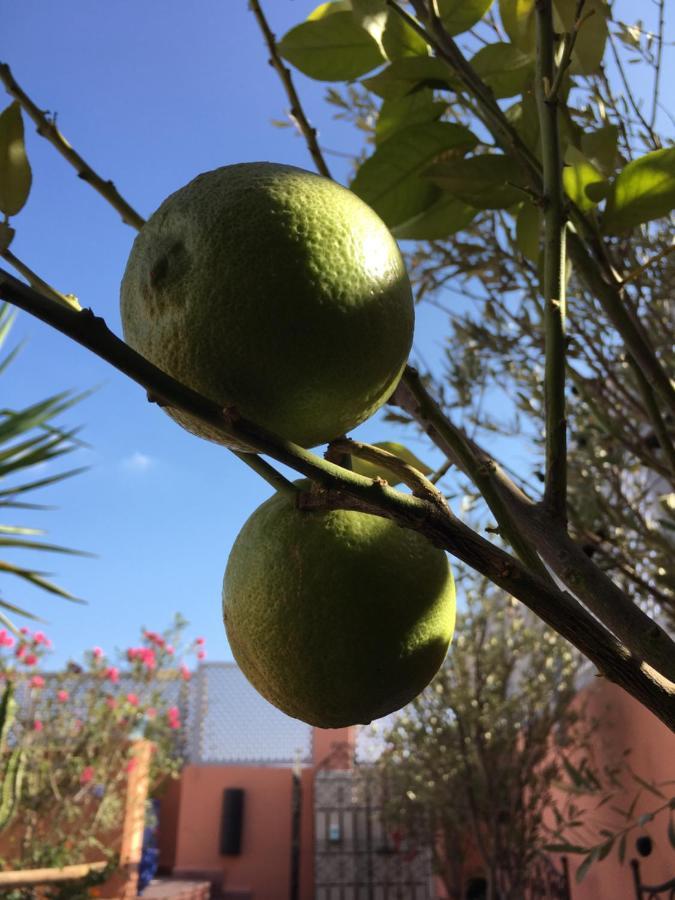 Dar Kasal Bed & Breakfast Marrakesh