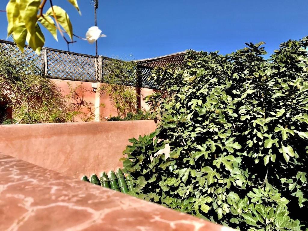 Riad Dar Lallat