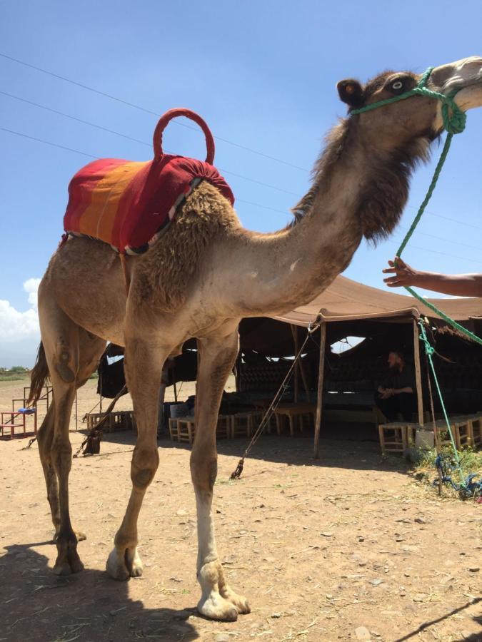 Le Marrakech Berrima Marrakesh