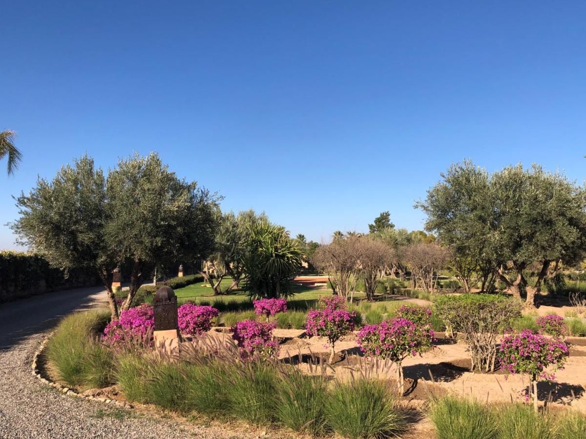 Akhdar 17 - Marrakech * Marraquexe