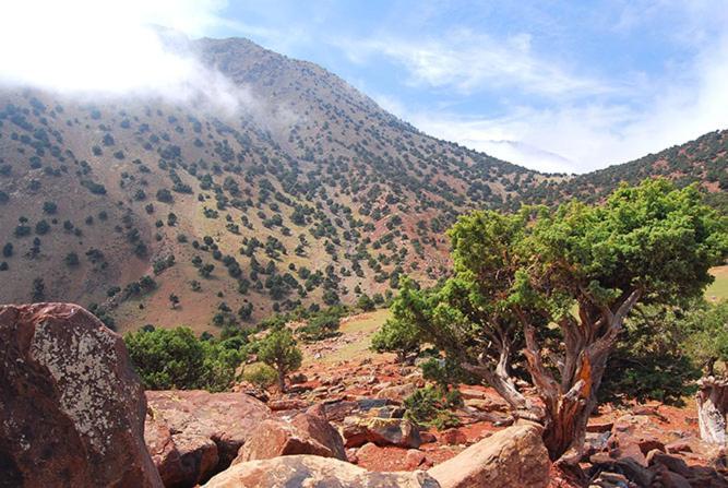 Bed & Breakfast Azzaden Trekking