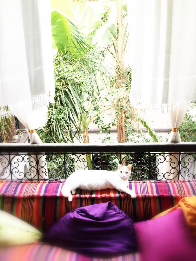 Riad Chocolat *