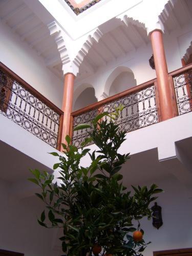 Riad Dar Alsaad