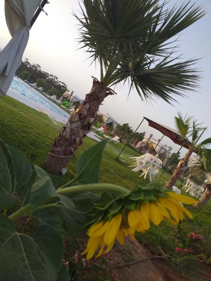 Neuf Avec Piscine Et Jardin Bio, Excursions Quads Apartment