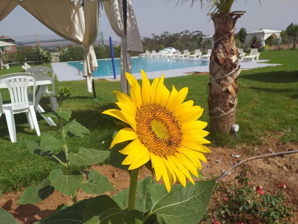 Neuf Avec Piscine Et Jardin Bio, Excursions Quads Apartment Marrakesh