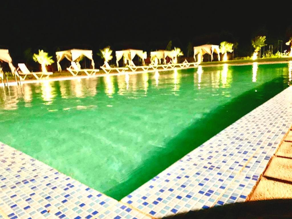 Neuf Avec Piscine Et Jardin Bio, Excursions Quads