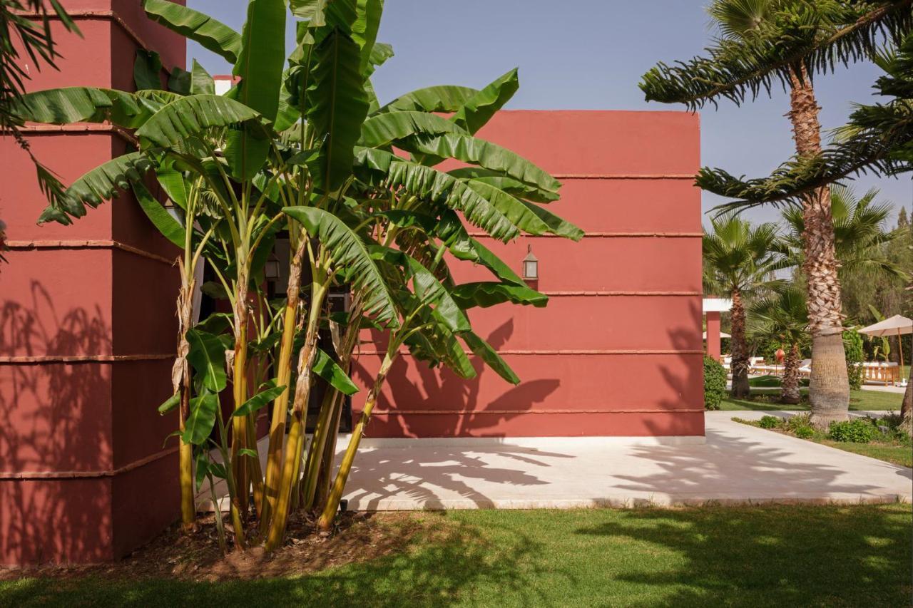 Loula Marrakesh
