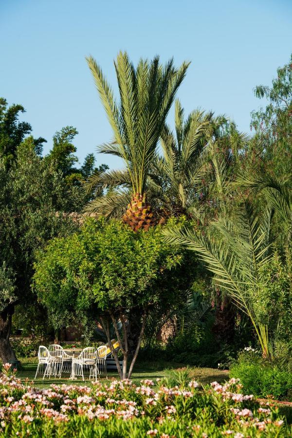 Pavillon Terra Ababila En Exclusivite