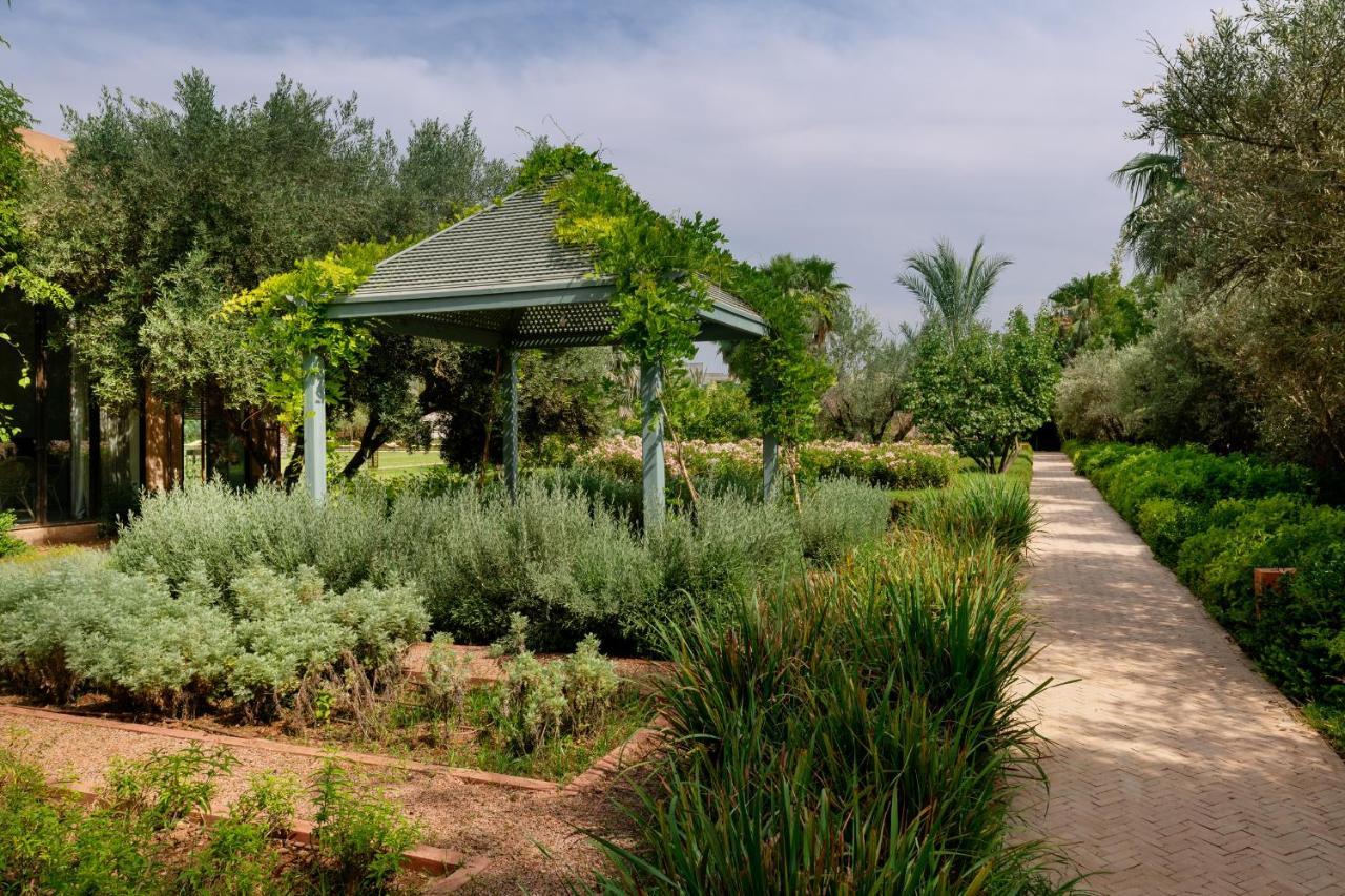 Pavillon Terra Ababila En Exclusivite