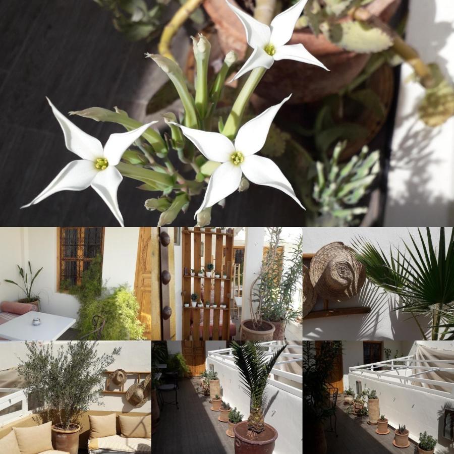 Guest house Safina 3*