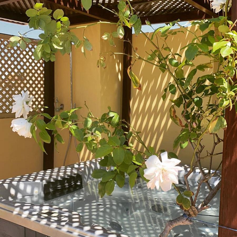 Riad Akka Guest house Marrakesh
